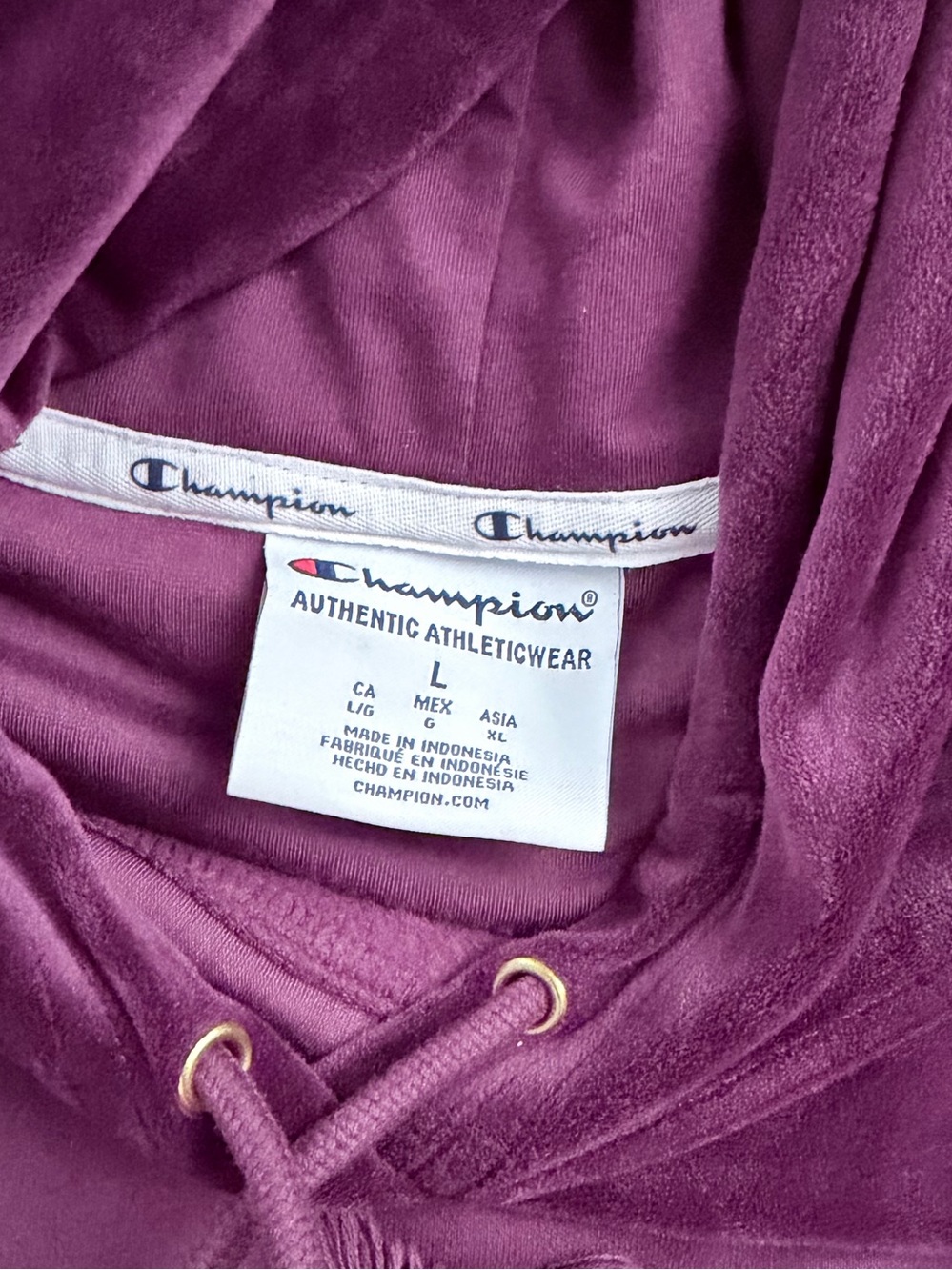 Champion Plum Velour Hoodie in Deep Purple - Picture 3 of 3